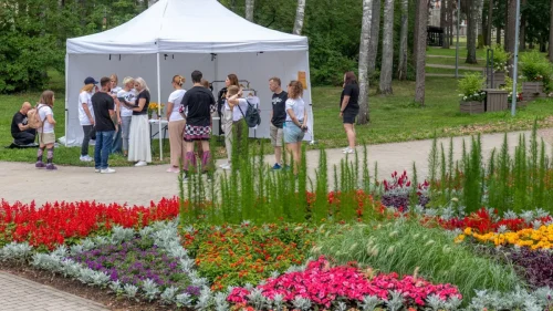 480256695 940195134894571 7549717328892063180 n