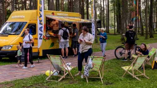 480262738 940195564894528 4026786415815775909 n