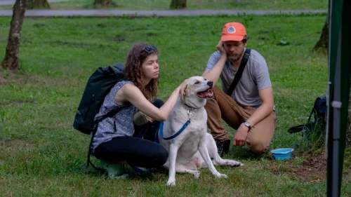 480282334 940197904894294 2069286749430264398 n