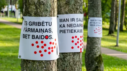 480290006 940195668227851 6815588728822728334 n