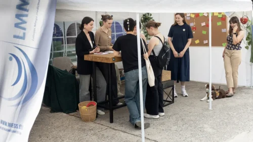 517253080 1043521817895235 8735239593281964489 n